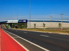 Governo de MT promove shows gratuitos em Mato Grosso no Parque Novo