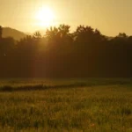 Tempo de silêncio, afeto e calma para três signos
