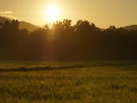 Tempo de silêncio, afeto e calma para três signos