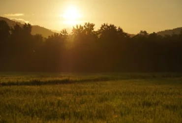 Tempo de silêncio, afeto e calma para três signos
