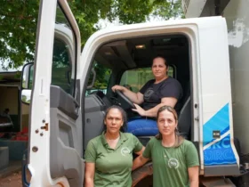 Produção de mandioca congelada cresce em São José do Rio Claro