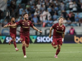 Mirassol assegura vaga na Libertadores com campanha histórica