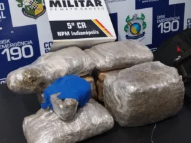 PM apreende dez quilos de supermaconha após acidente na BR-158