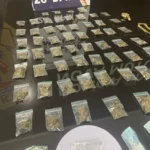 PM realiza apreensão de maconha em Nova Mutum durante operação