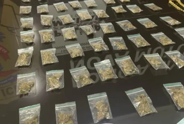 PM realiza apreensão de maconha em Nova Mutum durante operação