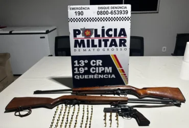 Prisão por violência doméstica em Querência após apreensão de armas