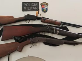 PM prende suspeito de furto e abate de gado em Santo Antônio