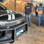 Polícia Civil realiza incineração de drogas em Cáceres