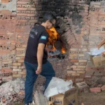 Polícia Civil realiza incineração de drogas em Água Boa