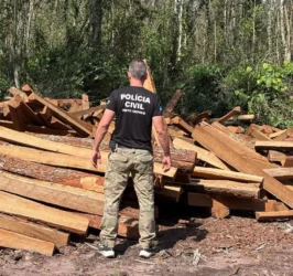 Polícia Civil intensifica combate à madeira Itaúba em Comodoro
