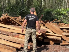 Polícia Civil intensifica combate à madeira Itaúba em Comodoro