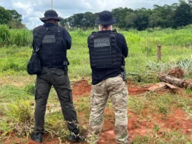 Polícia Civil prende faccionados em operação em Brasnorte