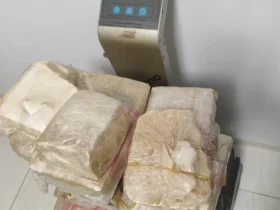 Apreensão de drogas em Primavera do Leste resulta em prisão