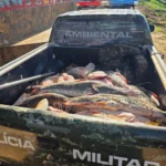 PM apreende mais de 1 t de pescado irregular em Rondonópolis