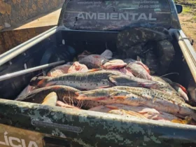 PM apreende mais de 1 t de pescado irregular em Rondonópolis