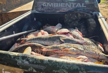 PM apreende mais de 1 t de pescado irregular em Rondonópolis