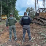 PM apreende máquinas por extração ilegal de madeira em Colniza