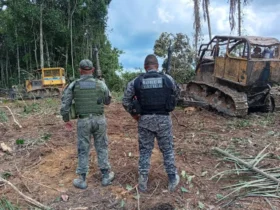 PM apreende máquinas por extração ilegal de madeira em Colniza