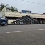 Forças apreendem 806 quilos de maconha em Nova Mutum