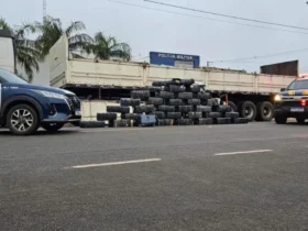 Forças apreendem 806 quilos de maconha em Nova Mutum
