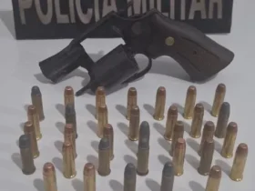 Prisão por posse irregular de arma em Marcelândia