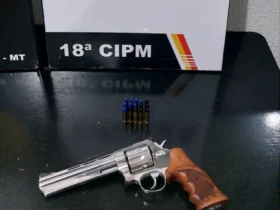 Homem é preso por porte ilegal de arma de fogo em São José do Rio Claro