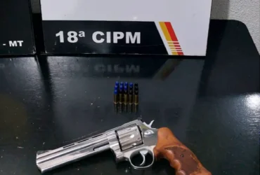 Homem é preso por porte ilegal de arma de fogo em São José do Rio Claro