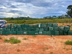 Tolerância Zero registra alta de 82% nas apreensões de drogas em Mato Grosso