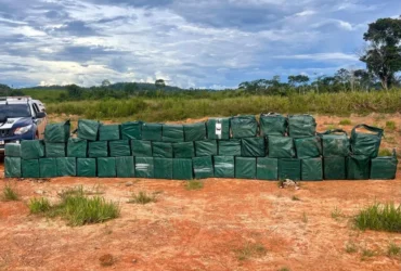 Tolerância Zero registra alta de 82% nas apreensões de drogas em Mato Grosso