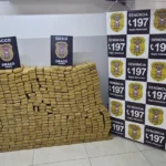 Polícia civil apreende meia tonelada de maconha em VG