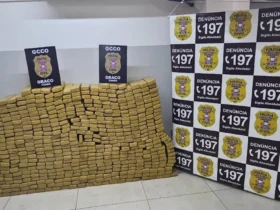 Polícia civil apreende meia tonelada de maconha em VG