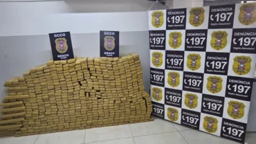 Polícia civil apreende meia tonelada de maconha em VG