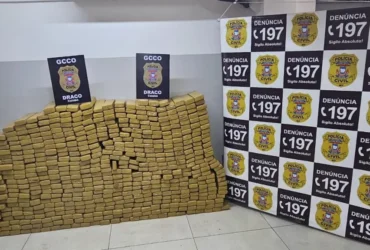 Polícia civil apreende meia tonelada de maconha em VG