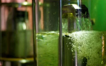 Preço do açúcar e maior produção de etanol devem ser focos em 2026/27