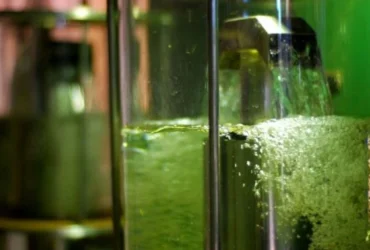 Preço do açúcar e maior produção de etanol devem ser focos em 2026/27