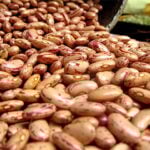 Preços do feijão estão mais firmes; produção no PR deve cair