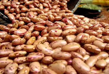 Preços do feijão estão mais firmes; produção no PR deve cair