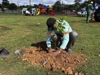 Prefeitura de Sinop intensifica arborização e realiza plantio de árvores na Avenida dos Pinheiros