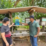 Produção de mel impulsiona agricultura familiar em Carlinda