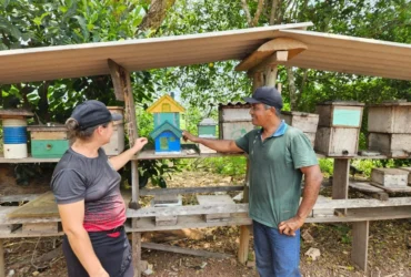 Produção de mel impulsiona agricultura familiar em Carlinda