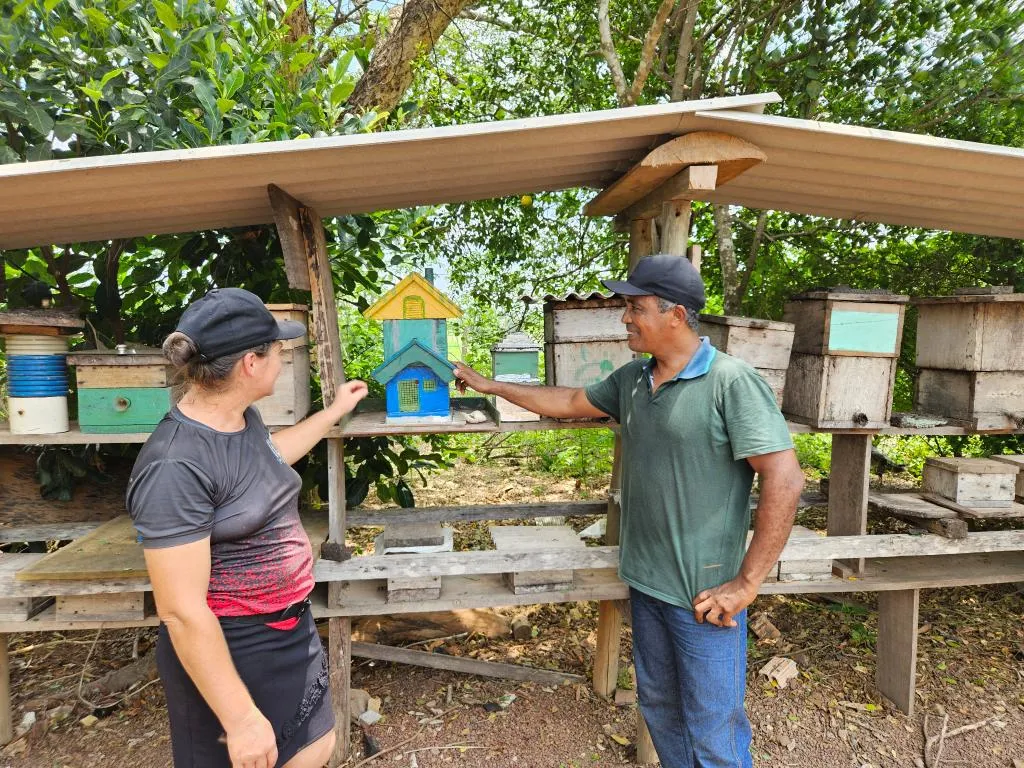 Produção de mel impulsiona agricultura familiar em Carlinda
