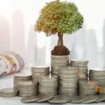 Programa Eco Invest Brasil: como funciona e quem pode se beneficiar