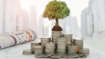 Programa Eco Invest Brasil: como funciona e quem pode se beneficiar