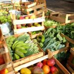 Programa de Aquisição de Alimentos: confira regras e prazos para execução em Municípios prioritários