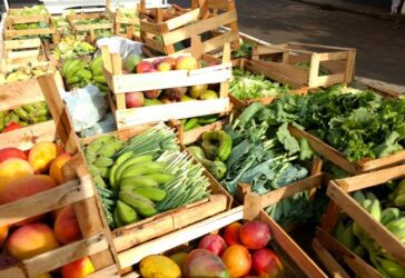 Programa de Aquisição de Alimentos: confira regras e prazos para execução em Municípios prioritários