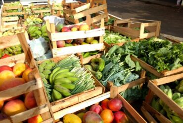 Programa de Aquisição de Alimentos: confira regras e prazos para execução em Municípios prioritários