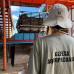 Secretaria da Agricultura realiza força-tarefa para evitar ingresso do Greening no Estado