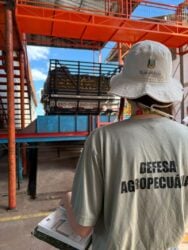 Secretaria da Agricultura realiza força-tarefa para evitar ingresso do Greening no Estado