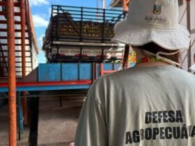 Secretaria da Agricultura realiza força-tarefa para evitar ingresso do Greening no Estado