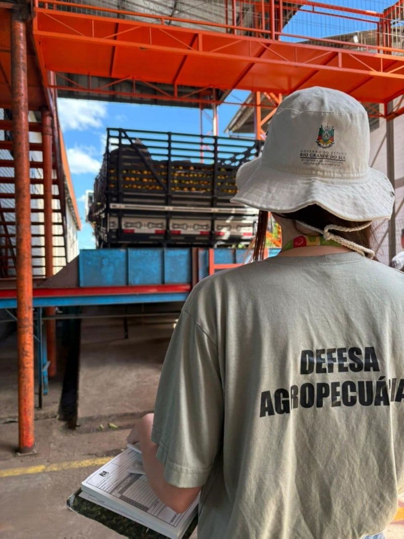 Secretaria da Agricultura realiza força-tarefa para evitar ingresso do Greening no Estado